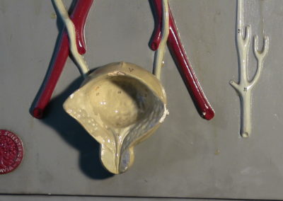 Modello dell'apparato urinario, (vescica)