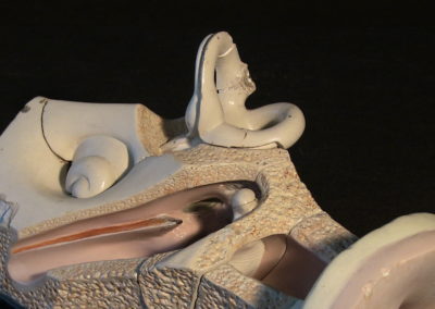 Modello dell'orecchio, canali semicircolari