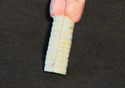 Modello esterno della Laringe, 2