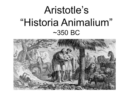 HISTORIA ANIMALIUM IN ARISTOTELE
