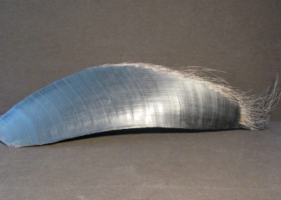 Fanone di Balena, 4