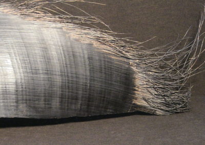 Fanone di Balena (particolare)