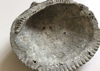 Fossile (guscio di mollusco bivalve) (2)