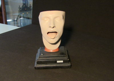 Modello della faccia