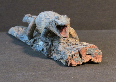 Piccolo coccodrillo tassidermizzato (2)