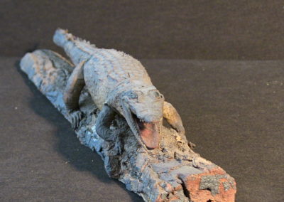 Piccolo coccodrillo tassidermizzato (3)