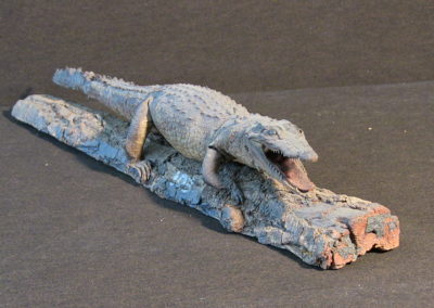 Piccolo coccodrillo tassidermizzato (6)