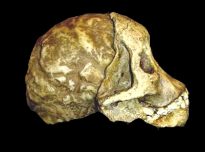 IL BAMBINO DI TAUNG