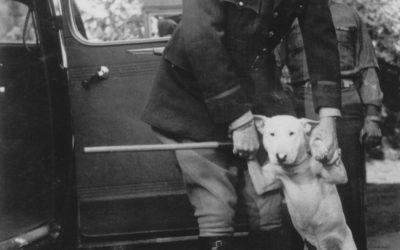 PATTON’ DOG WILLIE