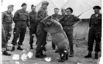 WOJTEK